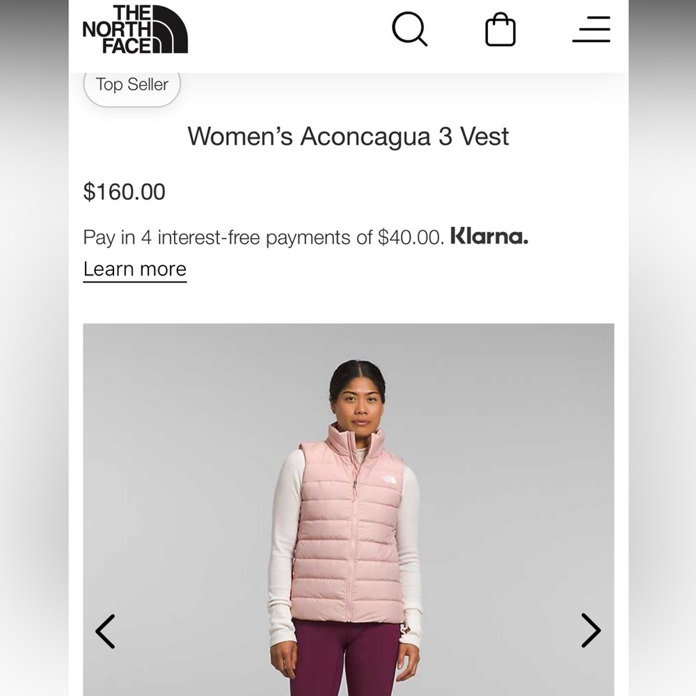 North Face Vest